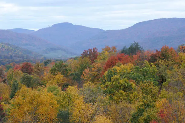 Photo of Canaan Valley in Autumn