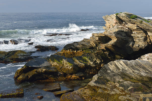 istock Scenery of Beavertail State Park 160197911