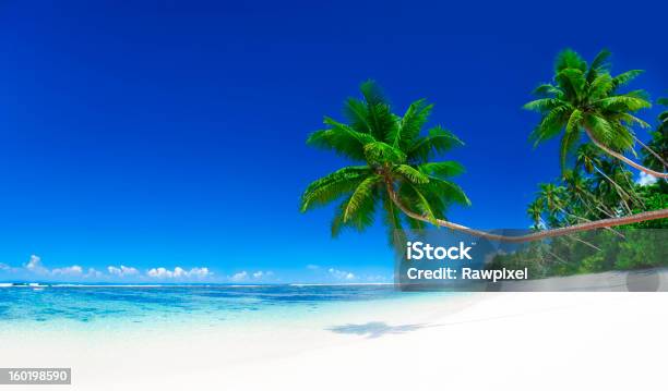 Paraíso Tropical - Fotografias de stock e mais imagens de Ao Ar Livre - Ao Ar Livre, Areia, Azul