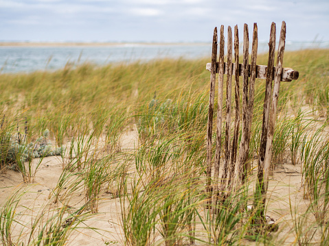 Within a backdrop of grassy sand dunes, a fragment of an aged wooden fence stands resiliently.