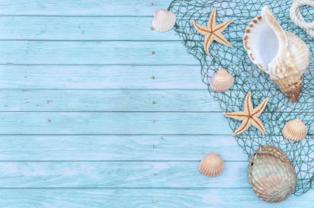 MARINE STILL LIFE BACKGROUND ON BLUE RUSTIC WOODEN TABLE