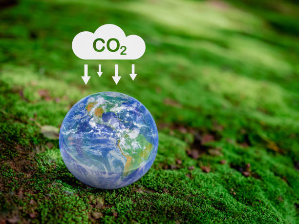istock CO2 emission reduction concept, clean and friendly environment without carbon dioxide emissions. Planting trees to reduce CO2 emissions, environmental protection concept. element of NASA 1602147852