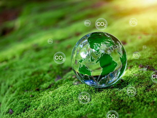 istock Crystal ball on moss in green forest. CO2 emission reduction concept, clean and friendly environment without carbon dioxide emissions. Planting trees to reduce CO2 emissions, environmental protection concept. 1602147853