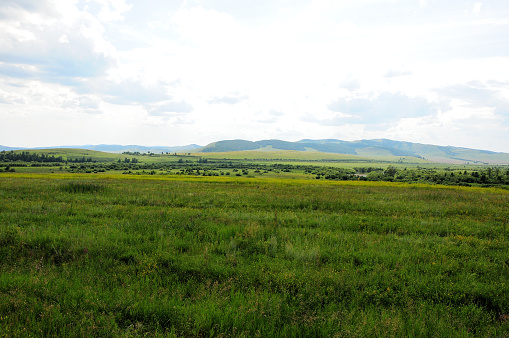 Endless steppe with tall green grass at the foot of a mountain range under a cloudy summer sky. Khakassia, Siberia, Russia.