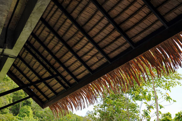 istock Steel structure roof with thatched leaves to build a hut. 1602191476