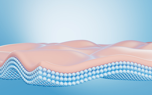Skin tissue and cells, skin treatment, biology and medicine concept, 3d rendering. Digital drawing.