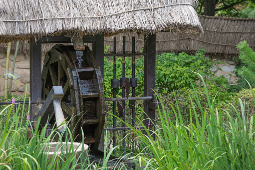 A waterwheel under a thatched roof made of rice straw.