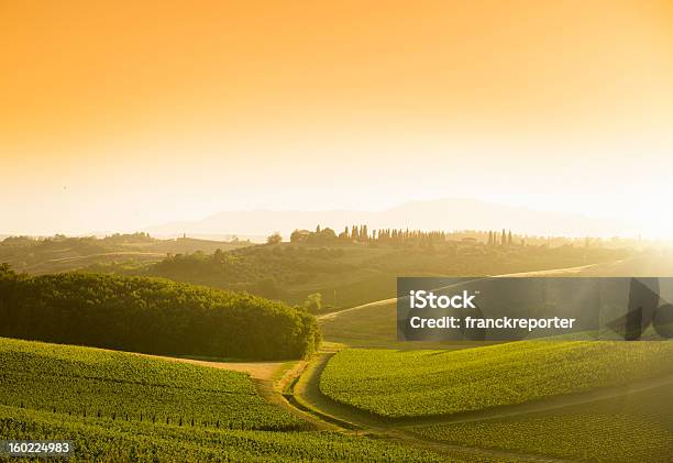 キャンティ地域ヒルズ夕暮れのトスカーナイタリア - モンタルチーノのストックフォトや画像を多数ご用意 - モンタルチーノ, Horizon, イタリア