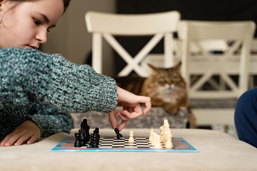 A young is girl playing chess and cat is looking nearby