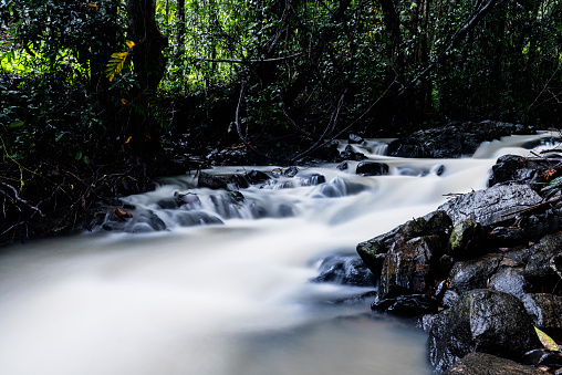Beautiful monsoon stream flowing over rocks in the remote jungles of Western Ghats region in Karnataka, India