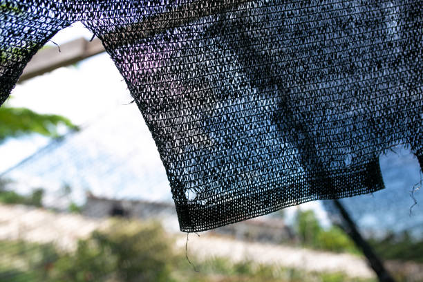 Black shading net pattern texture. Used in gardening, nurseries, agriculture. Texture, weave pattern details close up.