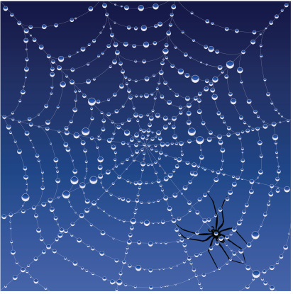 Illustration of a spiderweb at dawn, covered in dew