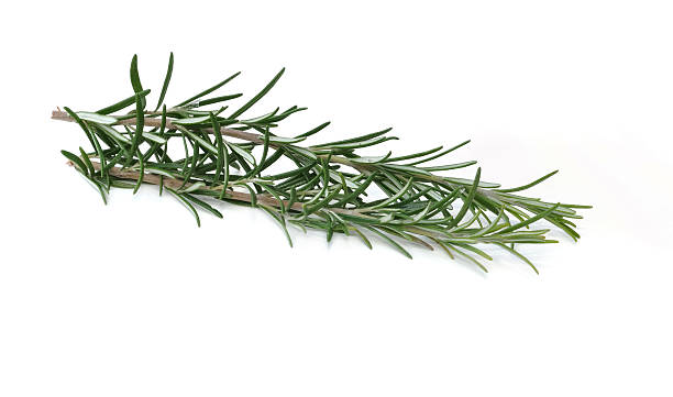 istock bunch of fresh rosemary 160229143