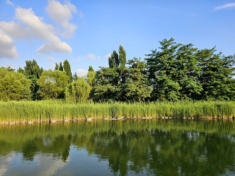 lake and forest sky