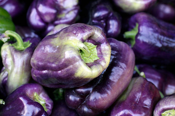 Beautiful Purple Bell Peppers stock photo