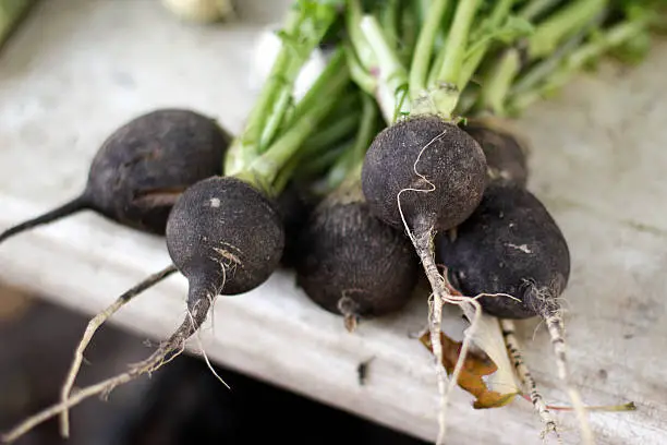 Black radishes, also known as Black Spanish Radishes, are more like turnips than radishes. They more spicy and woody than most red radishes. They have rough black skin with white flesh.