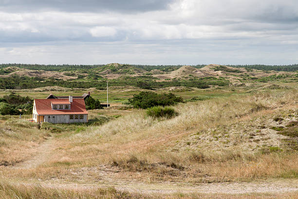 Holiday homes in the sand dunes at The Skaw in the northern part of Denmark