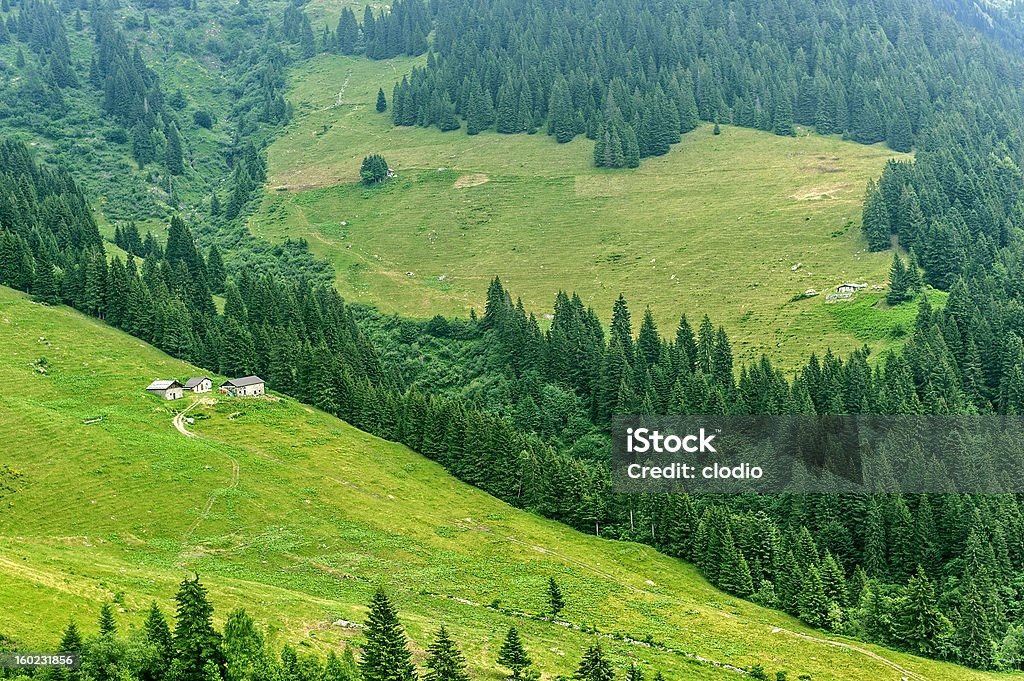 To Passo San Marco Ascending to Passo San Marco, Alpi Orobie (Bergamo, Lombardy, Italy), mountain landscape at summer Animal Stock Photo