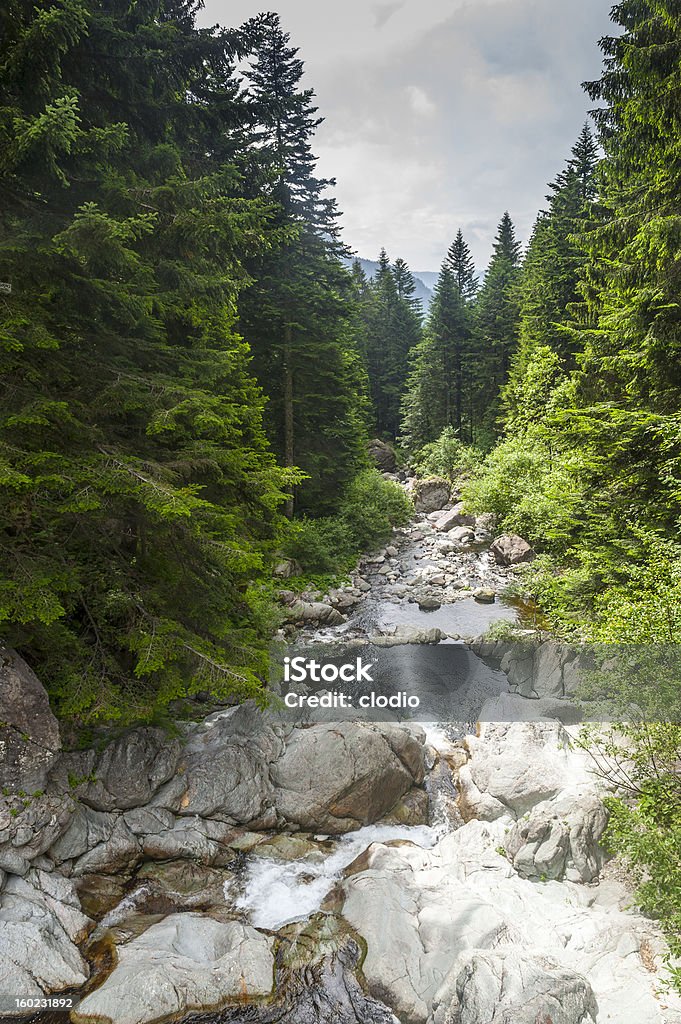 Cascada en Val Brembana - Foto de stock de Aire libre libre de derechos