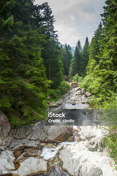 Cascada En Val Brembana Foto de stock y más banco de imágenes de Aire libre - Aire libre, Alpes Europeos, Bergamo