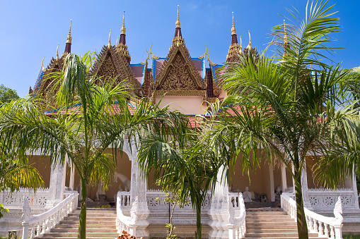 Gian Giac Pagoda, Cai Be, Mekong Delta, Vietnam, Southeast Asia