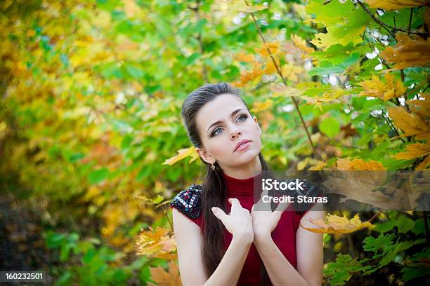 여자 Autumnal 공원 10월에 대한 스톡 사진 및 기타 이미지 - 10월, 20-24세, 9월