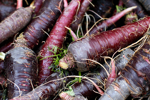 Purple Carrots Close-up stock photo