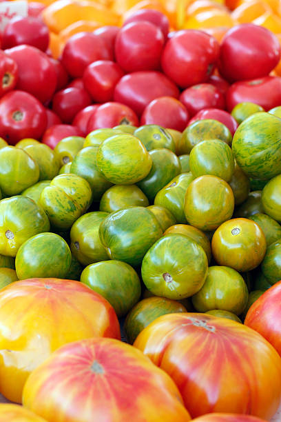 カラフルなエアルームトマトのクローズアップ - heirloom tomato zebra tomato tomato organic ストックフォトと画像