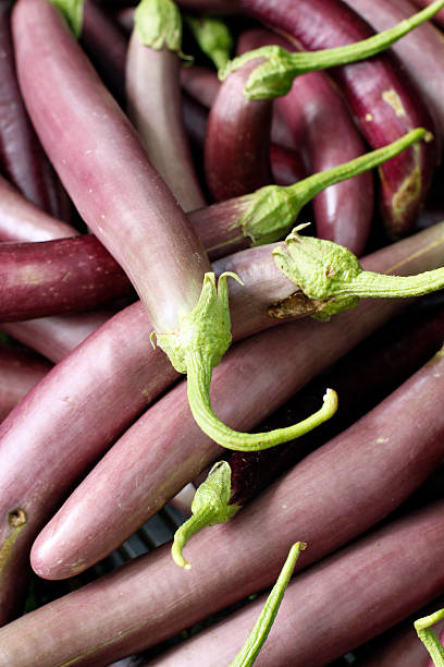 long chinês berinjela close-up - eggplant farmers market purple agricultural fair - fotografias e filmes do acervo