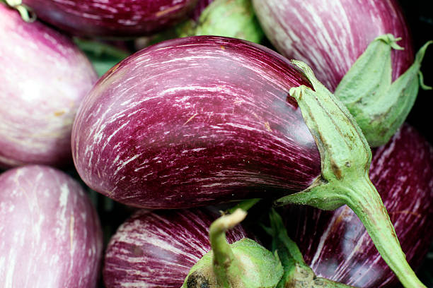 istock Beautiful Zebra Eggplant Close-up 160234506