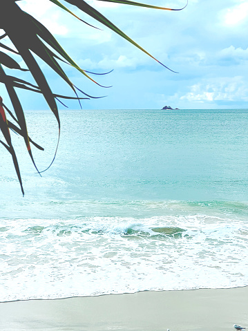 Vertical photo of waves breaking on the beach and fronds of a Pandanus palm at Main Beach, Byron Bay, NSW. Julian Rocks, on the horizon, is a nature reserve scuba diving area and important sacred place, home of creator spirit,  Nguthungulli, for local Arakwal people.