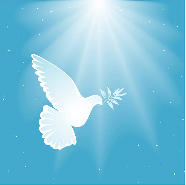istock Illustration of a white dove on a blue background 160237530