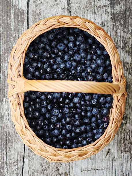 Blueberries stock photo