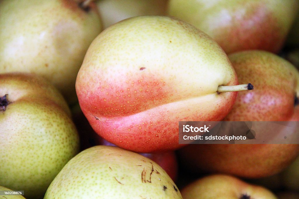 Beautiful, Colorful Forelle Pears Close-up Forelle pears are prized for their smooth texture, sweet flavor, and beautiful color (their trademark red freckles, or lenticles). Agriculture Stock Photo