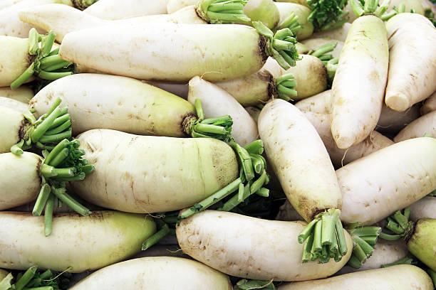 blanco daikon rábanos en el mercado - radish dikon radish vegetable exoticism fotografías e imágenes de stock