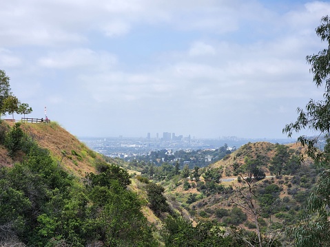 An aerial view of a vibrant cityscape of Los Angeles situated atop a lush hillside