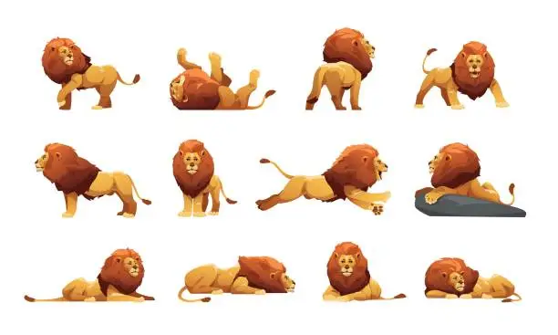 Vector illustration of Lion collection. Cartoon male jungle cats in different poses, cute big cats with fur and tails safari wildlife icons, savana predator animal. Vector isolated set