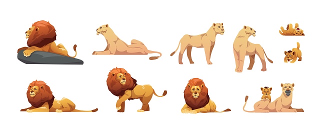 Cartoon lioness. Cute family jungle cats, lion mother and cub flat style, Africa savana zoo animals, cat predators pride. Vector colorful set. Strong leader beasts mother and father with kid