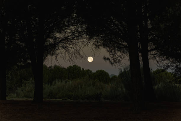 istock full moon at dawn rising between the mountains 1602411278