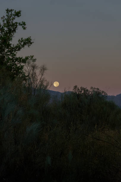istock full moon at dawn rising between the mountains 1602411598