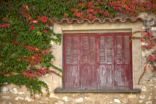 Red ivy and shutters