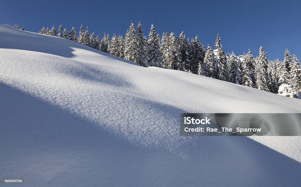 Śnieg i drzew - Zbiór zdjęć royalty-free (Apres ski)