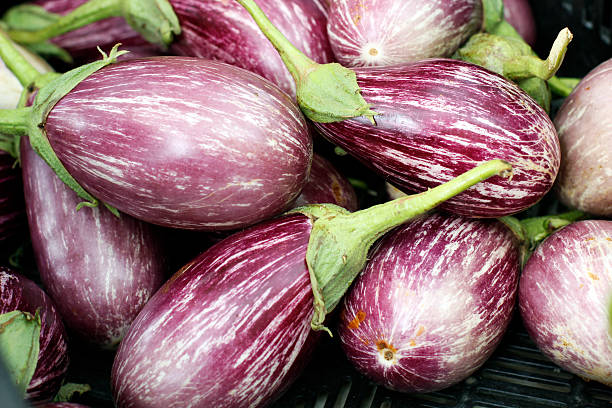 zebra berinjela com listras em close-up - eggplant farmers market purple agricultural fair - fotografias e filmes do acervo