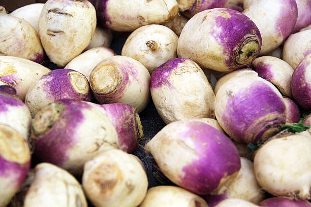 istock Pile of White and Purple Turnips 160245912