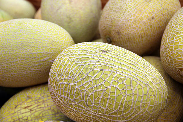Hami Melon texture close-up stock photo