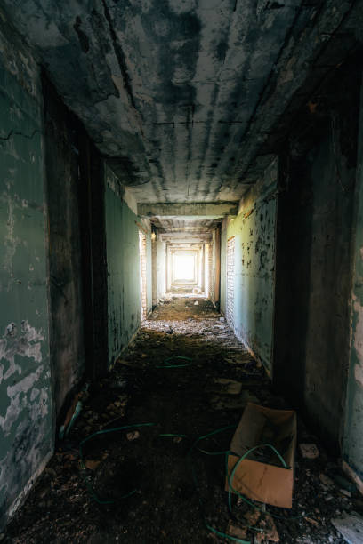 istock Dark empty corridor or tunnel in abandoned house with light in end 1602463878