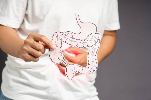 istock Hand holding a large intestine shape made from paper while standing on a gray background 1602466987