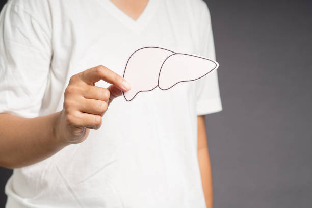 istock Hand holding a liver shape made of paper while standing on a gray background 1602466996