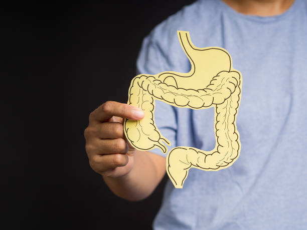 istock Hand holding a large intestine shape made from yellow paper while standing on a black background 1602467537