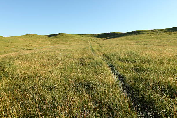 aprire prairie - nebraska midwest usa farm prairie foto e immagini stock